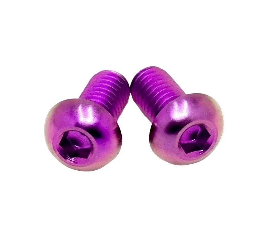 Ultra Bee Brake Reservoir Titanium Bolts